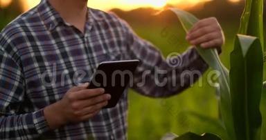 镜头耀斑：农民用数字平板电脑种植大豆作物，现代技术应用